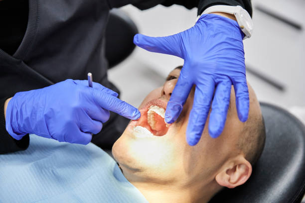 Best Chipped Tooth Repair Near Me  in Walnut, IL